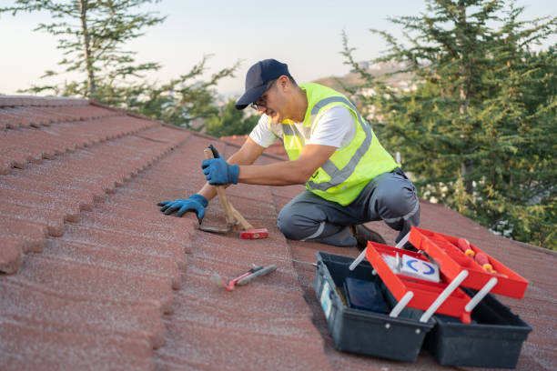Best Metal Roofing Contractor  in Pulaski, TN